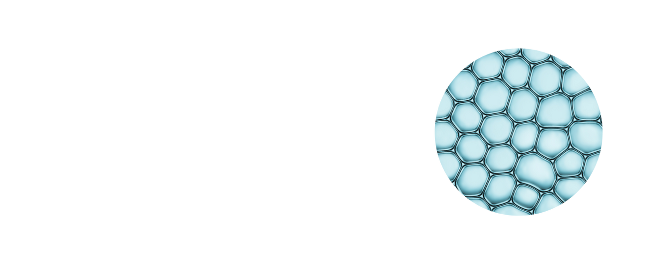 AnteAge Stem Cells