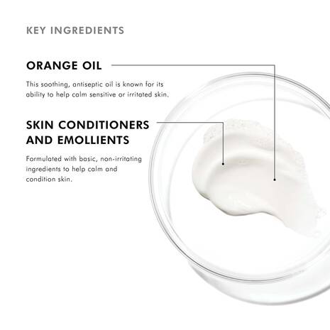 Key Ingredients Gentle Cleanser SkinCeuticals